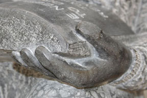 detail hand
